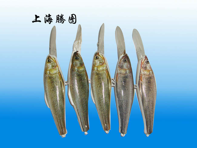 魚熱轉印